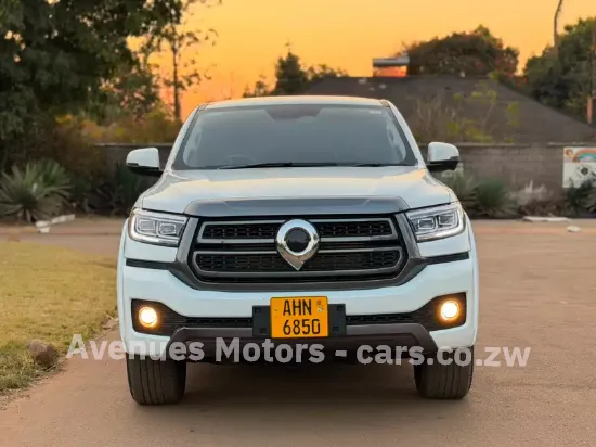 Picture of Gwm P Series 2025