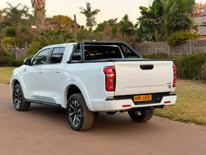 Picture of Gwm P Series 2025