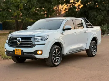 Picture of Gwm P Series 2025