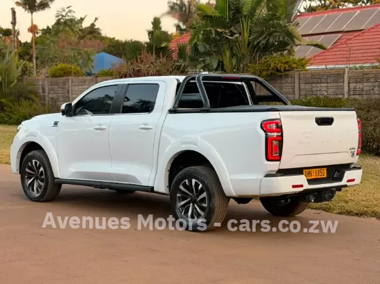 Picture of Gwm P Series 2025