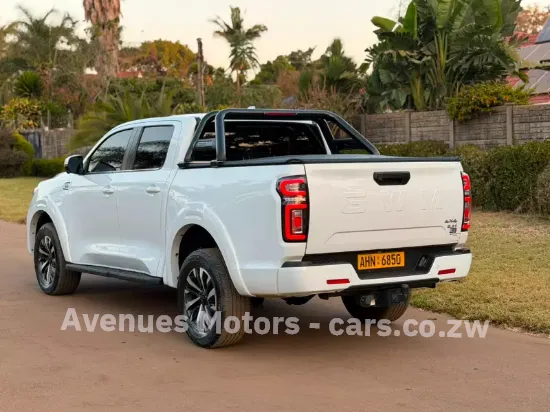 Picture of Gwm P Series 2025