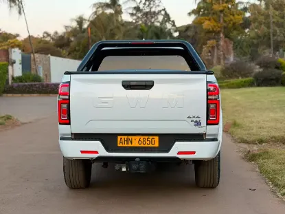 Picture of Gwm P Series 2025