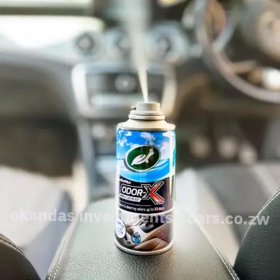 Picture of TurtlewaxZW Odor-X Whole Car Blast