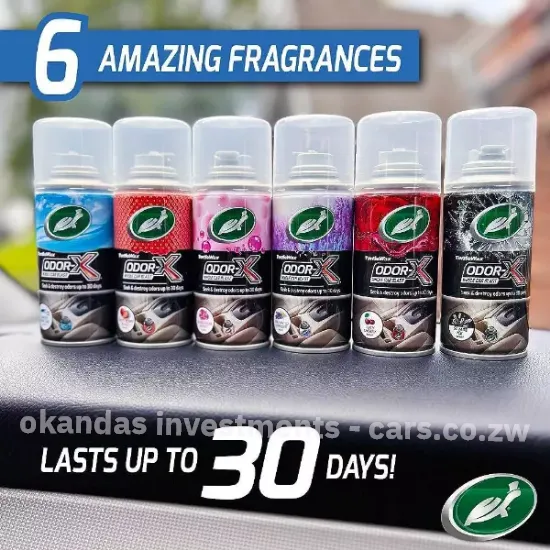 Picture of TurtlewaxZW Odor-X Whole Car Blast