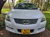 Picture of Small Car Rental