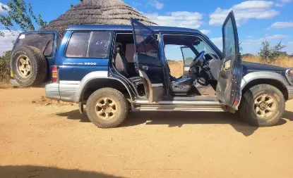 Picture of Mitsubishi Pajero 1996