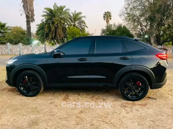 Picture of Haval H6 2024