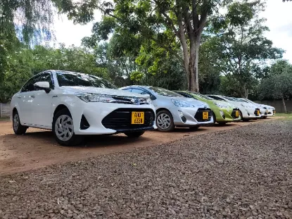 Picture of Affordable, Clean Sedans For Hire: Sylphy, Axela, Axio, Corolla, Allion- From