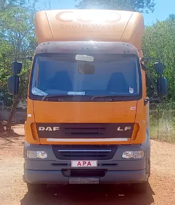 Picture of DAF 2013