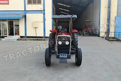 Picture of Massive 240s 2025