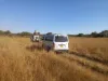 Picture of Toyota Hiace 10 seater (baby quantum)