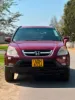 Picture of Honda CR-V 2009