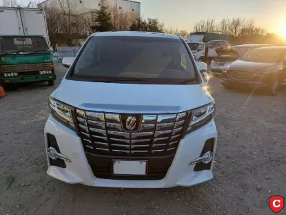 Picture of Toyota Alphard S 2016