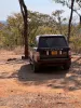 Picture of Range rover Vogue 2011