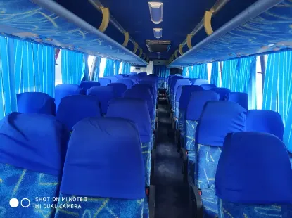 Picture of Luxury Coach