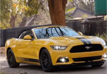 Picture of Ford Mustang 2019