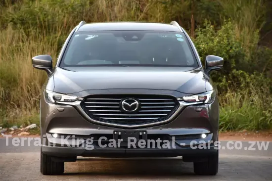 Picture of Luxury SUVs - Mazda CX-8, Hyundai Santa Fe (7 Seaters), Tucson For Hire!! From