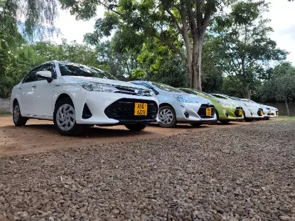 Picture of Clean Sedans : Nissan Sylphy, Mazda Axela, Toyota Axio for hire. FROM