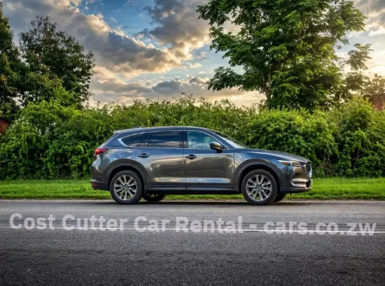 Picture of 6/7 Seater Mazda CX-8 for hire!