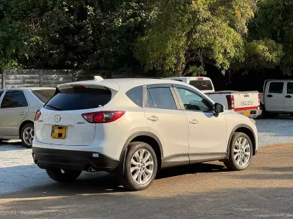 Picture of Mazda CX-5s for rental!