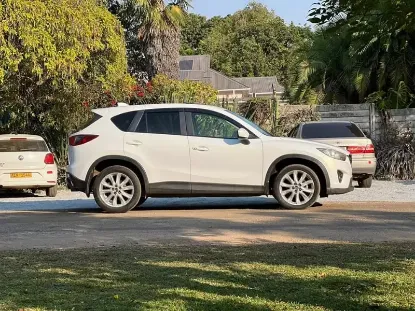 Picture of Mazda CX-5s for rental!