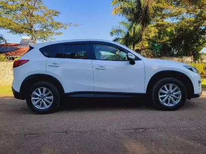 Picture of Mazda CX-5s for rental!