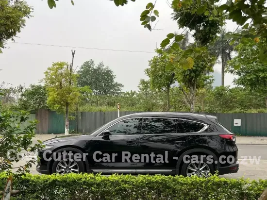 Picture of Three row Mazda CX-8s!