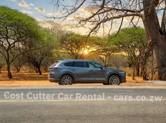 Picture of Three row Mazda CX-8s!