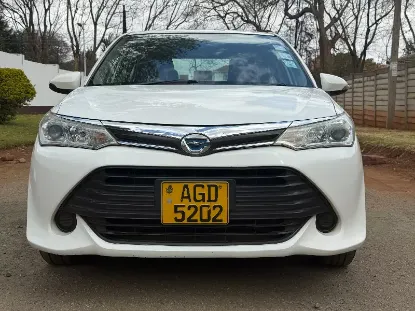 Picture of Toyota Axio 2016