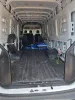 Picture of VW Volksbus 2022