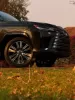 Picture of Lexus 500D 2026