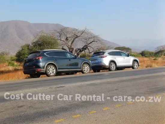 Picture of Three row Mazda CX-8s for hire!