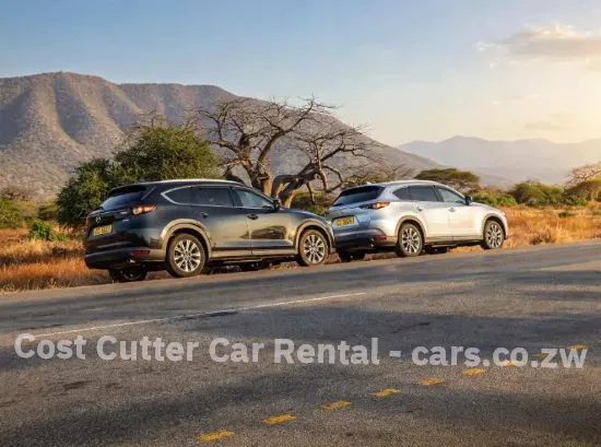 Picture of 3 seat row Mazda CX-8 for hire!