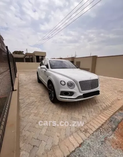 Picture of Bentley 2018