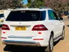 Picture of Mercedes Benz ML-Class 2013