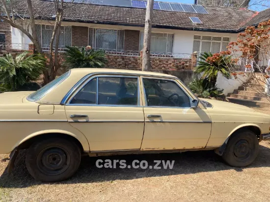 Picture of Mercedes Benz 240D 1981