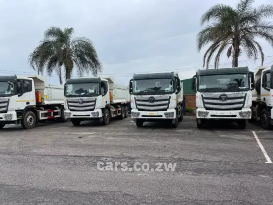 Picture of Foton 2025