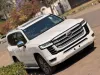 Picture of Toyota Land Cruiser 2024