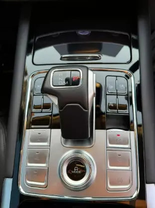Picture of Gwm P Series 2025