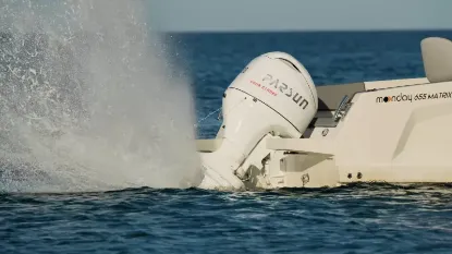 Picture of Parsun Outboards 2 / 4 Stroke Models 2026