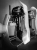 Picture of Parsun Outboards 2 / 4 Stroke Models 2026