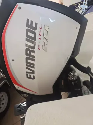 Picture of Evinrude G2 250 HO G2 250 2014