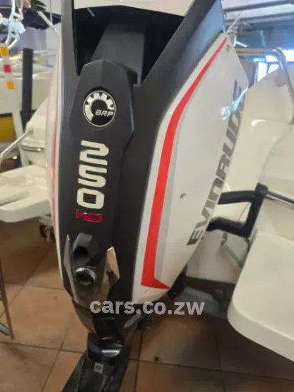 Picture of Evinrude G2 250 HO G2 250 2014