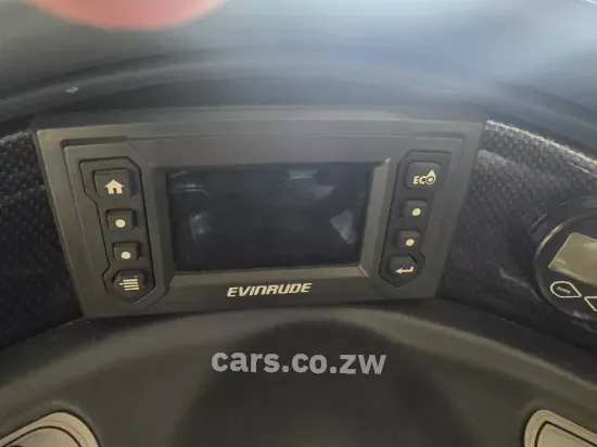 Picture of Evinrude G2 250 HO G2 250 2014