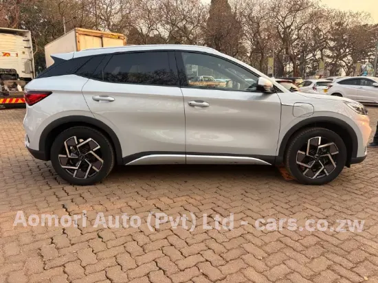 Picture of Byd Atto 2014
