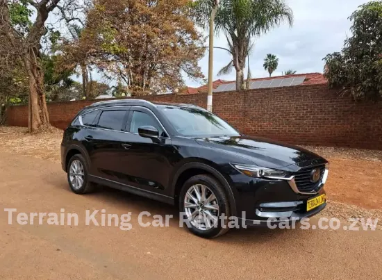 Picture of Luxury SUVs - Mazda CX-8, Hyundai Santa Fe (7 Seaters), Tucson For Hire!! From